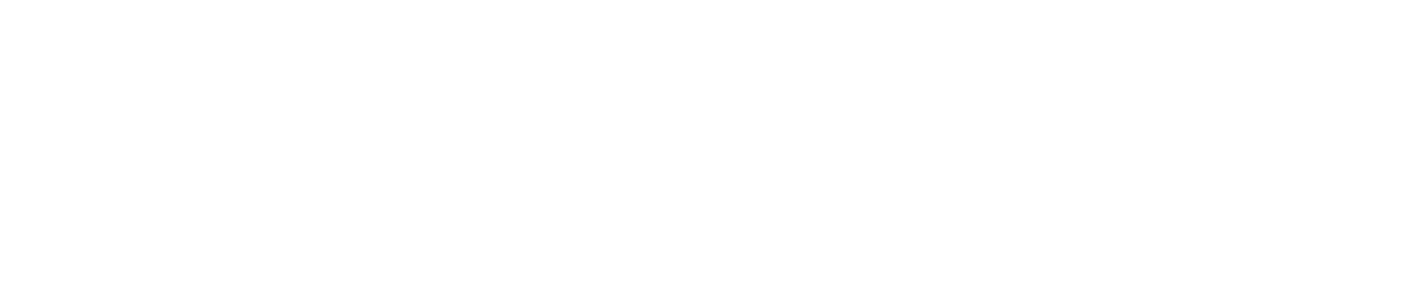 Salient Media cover